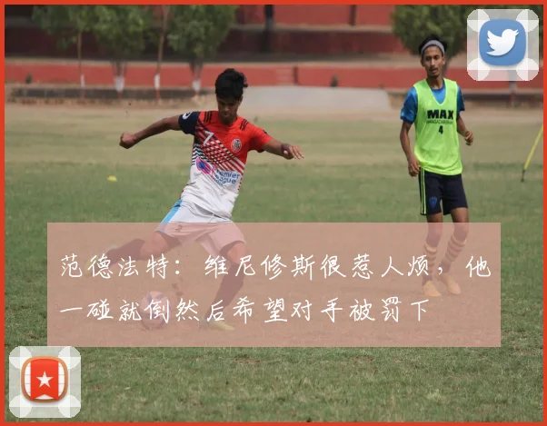 范德法特：维尼修斯很惹人烦，他一碰就倒然后希望对手被罚下