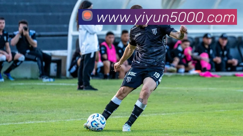 星空网官网登录入口平台生态图